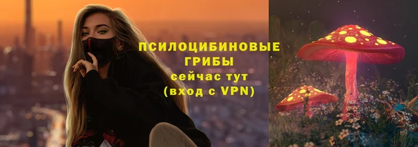 скорость Алзамай