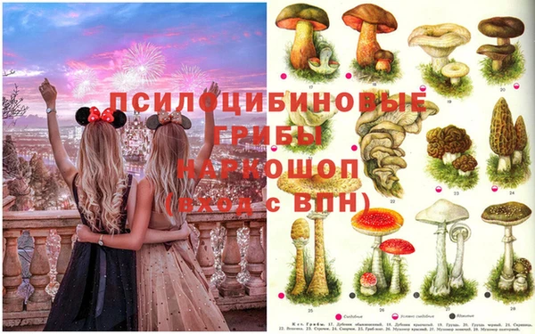 скорость Алзамай