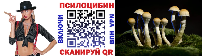 Псилоцибиновые грибы прущие грибы  blacksprut зеркало  Сураж 
