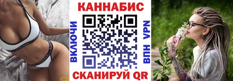 Шишки марихуана сатива  Сураж 